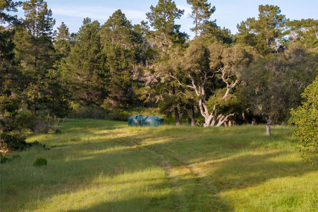 5155 Carmel Valley Road Property Photo 11