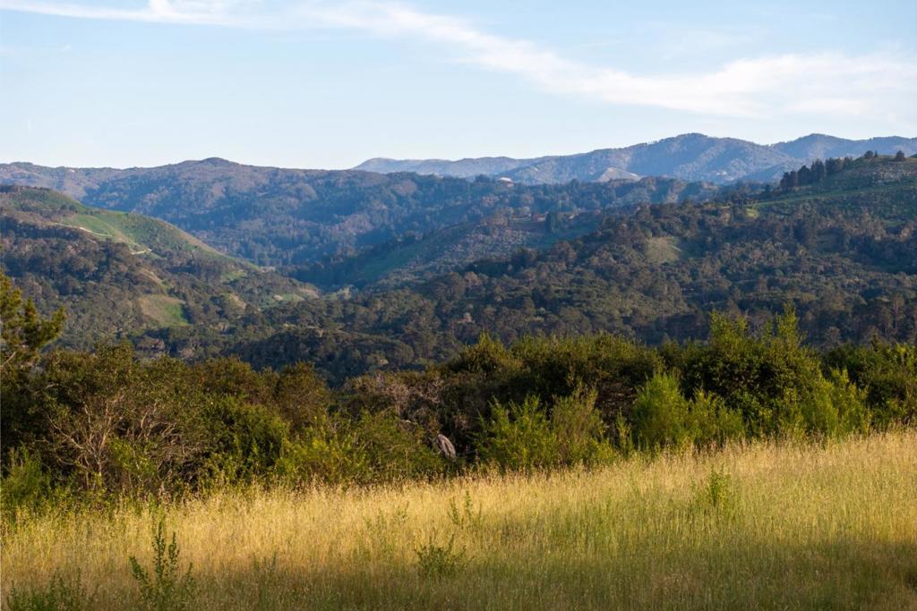 5155 Carmel Valley Road Property Photo 16