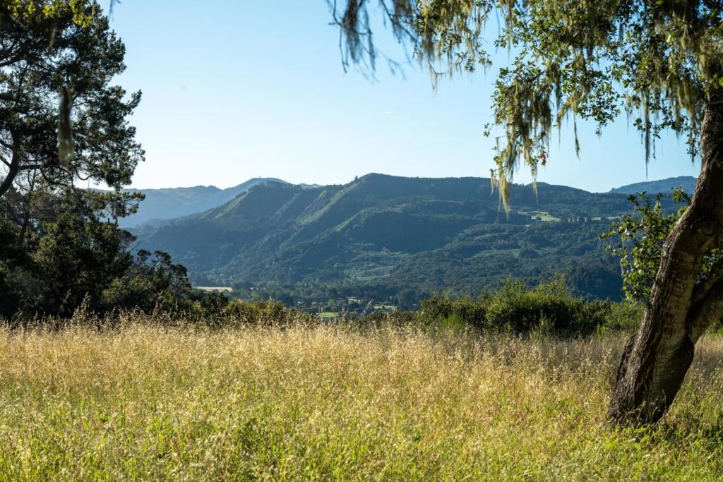5155 Carmel Valley Road Property Photo 21