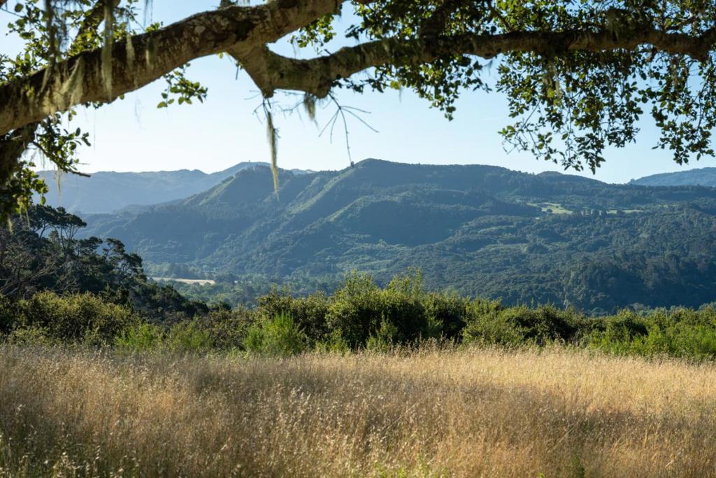 5155 Carmel Valley Road Property Photo 22