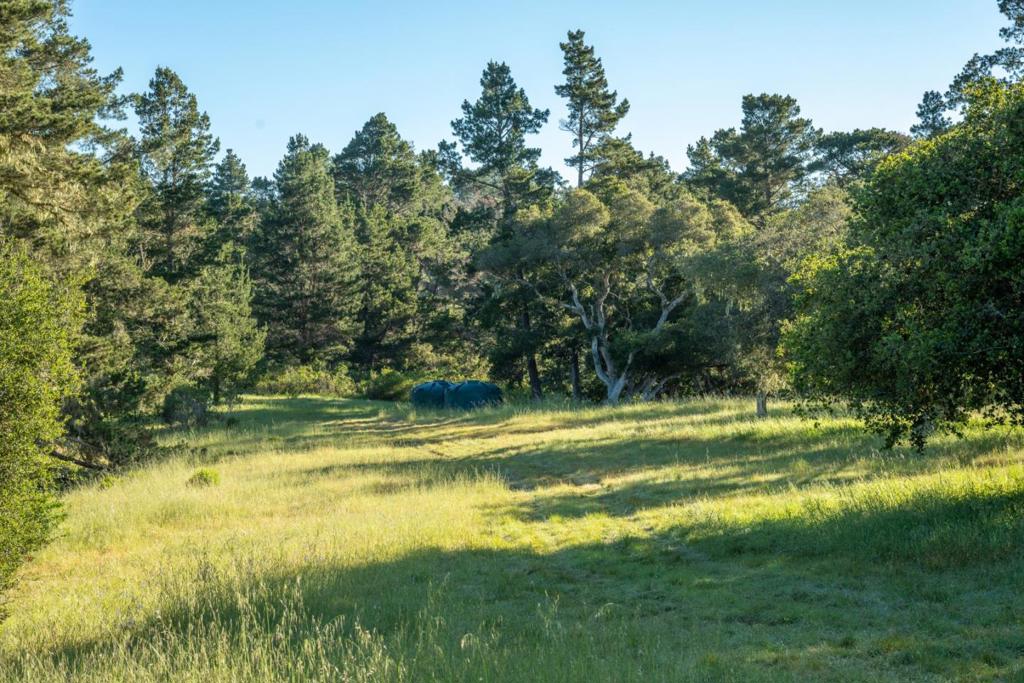 5155 Carmel Valley Road Property Photo 23