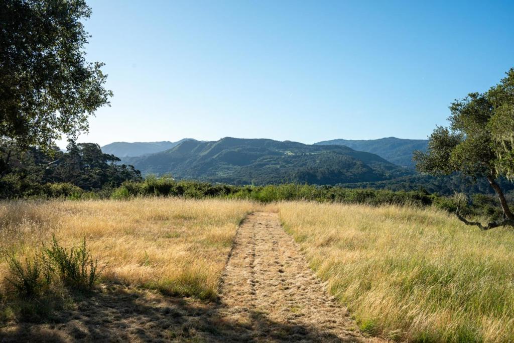 5155 Carmel Valley Road Property Photo 25