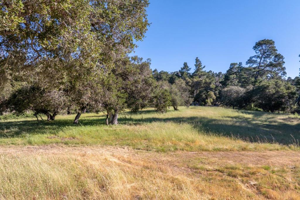 5155 Carmel Valley Road Property Photo 44