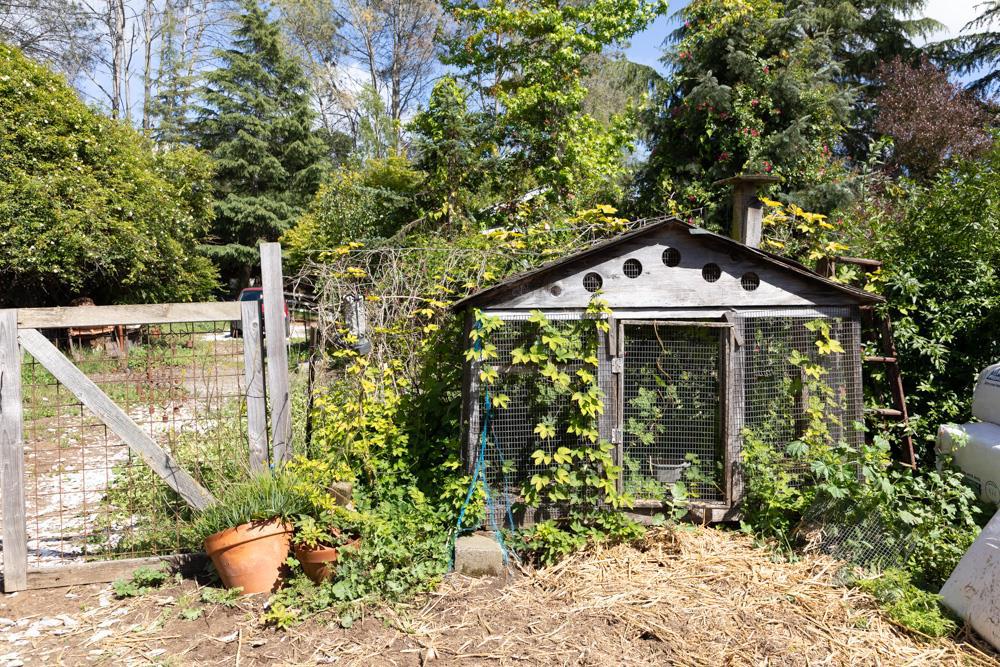 6060 Freedom Boulevard Property Photo 7