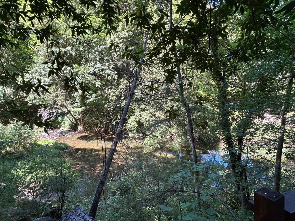 12715 Irwin Way Property Photo 24
