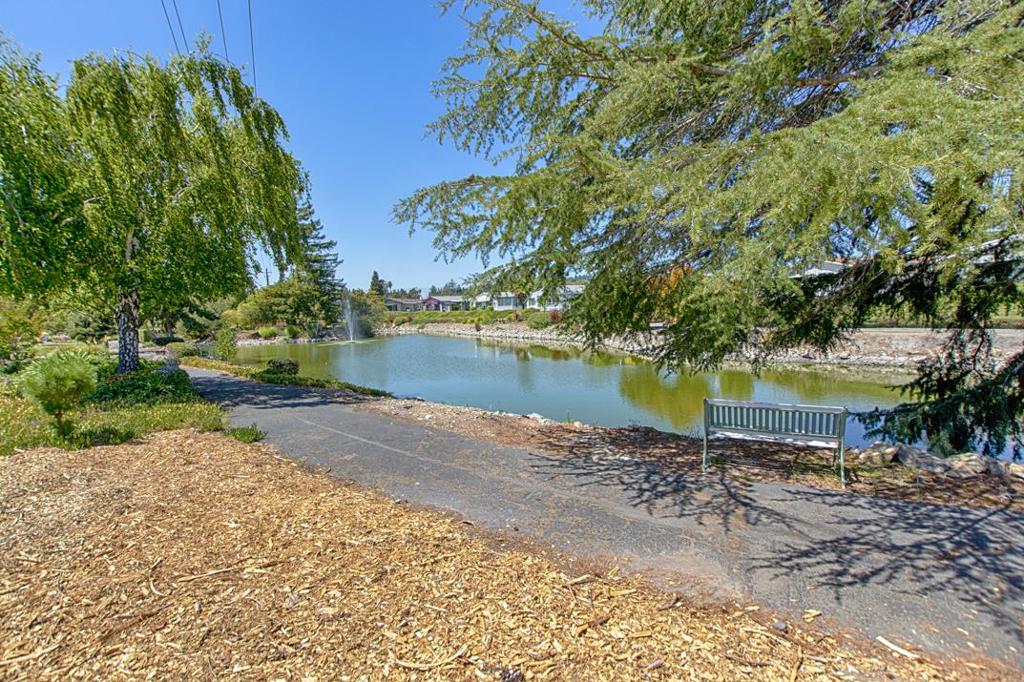 225 Mount Hermon Road 146 Property Photo 37