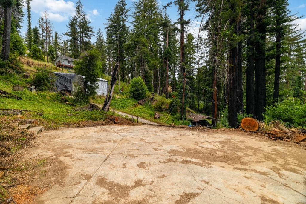 1131 Rambling Road Property Photo 4