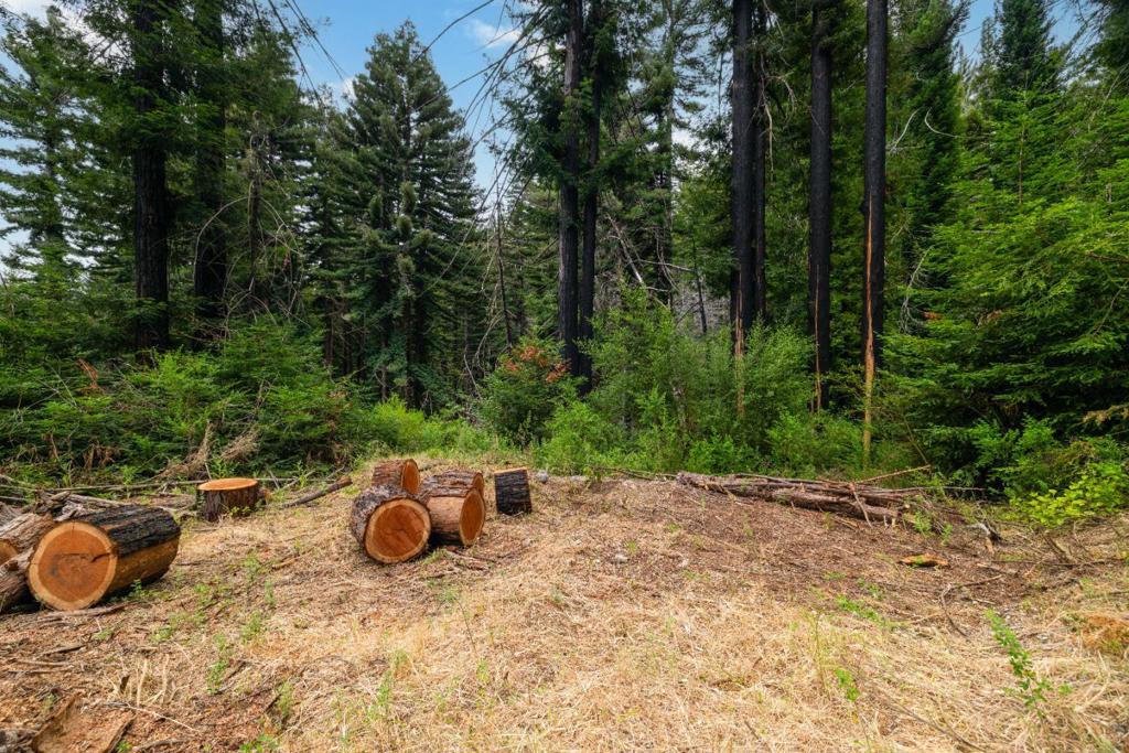1131 Rambling Road Property Photo 12