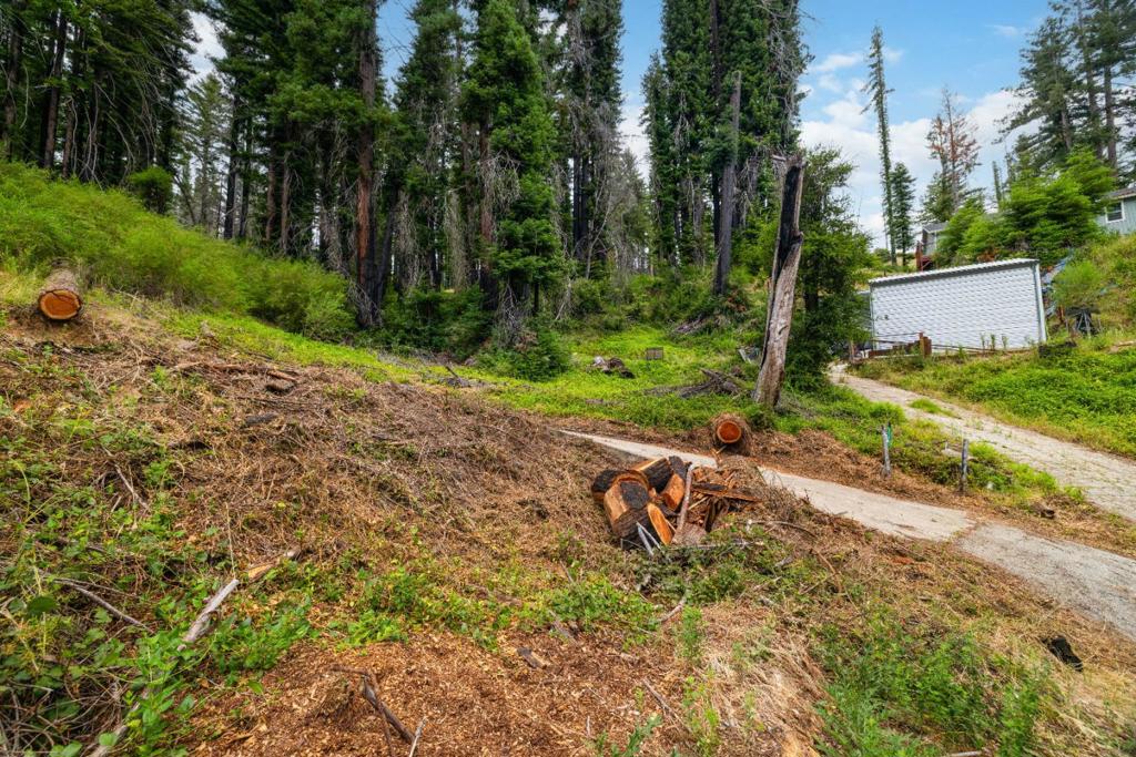 1131 Rambling Road Property Photo 14