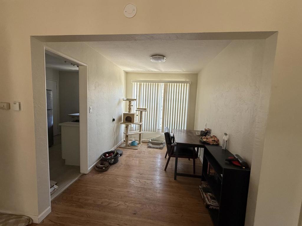 257 High Street Property Photo 18