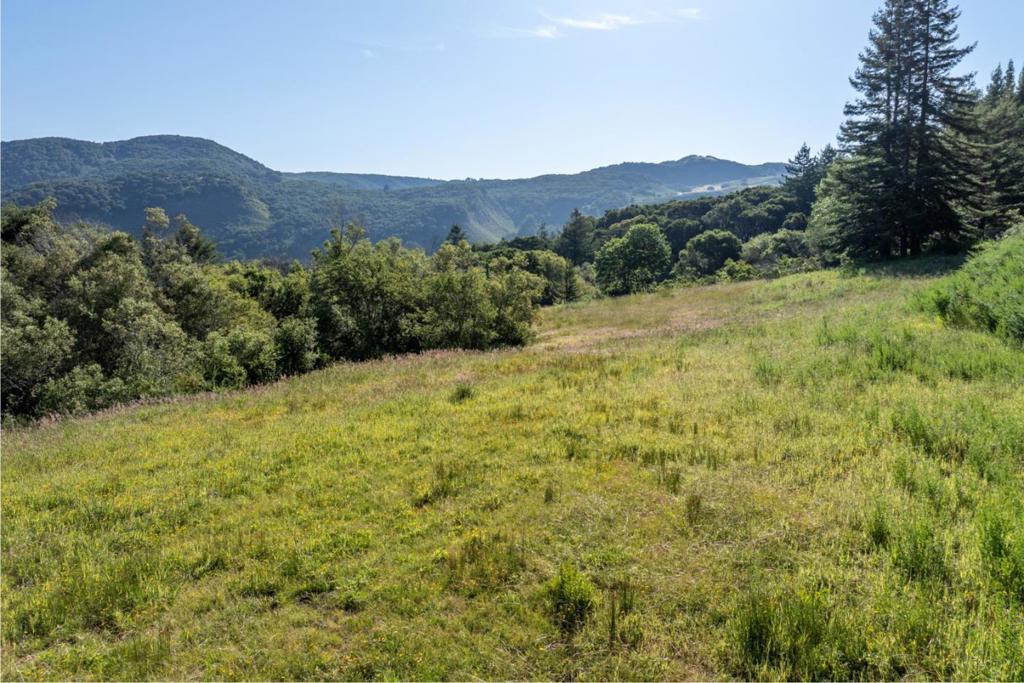15 Potrero Trail (lot 188) Property Photo 6