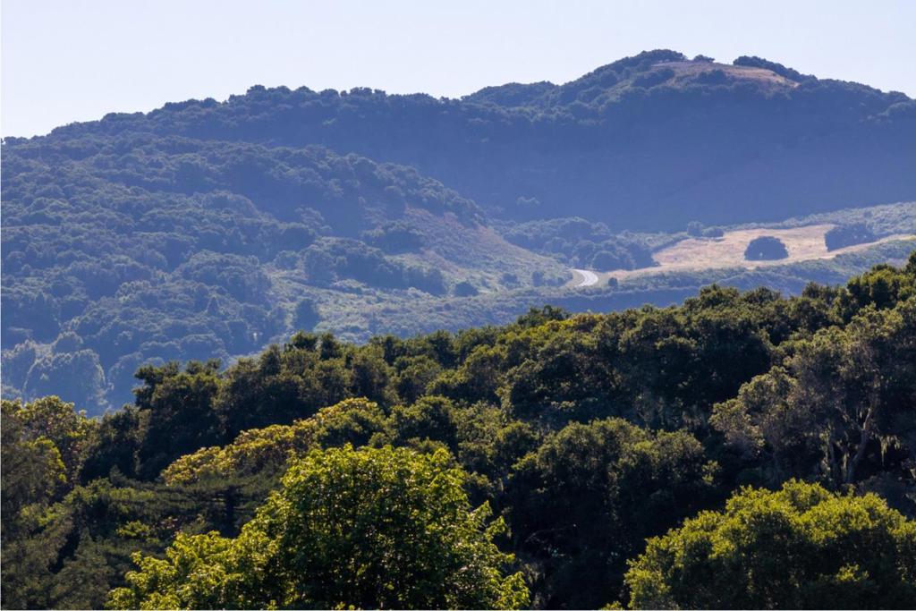 15 Potrero Trail (lot 188) Property Photo 8