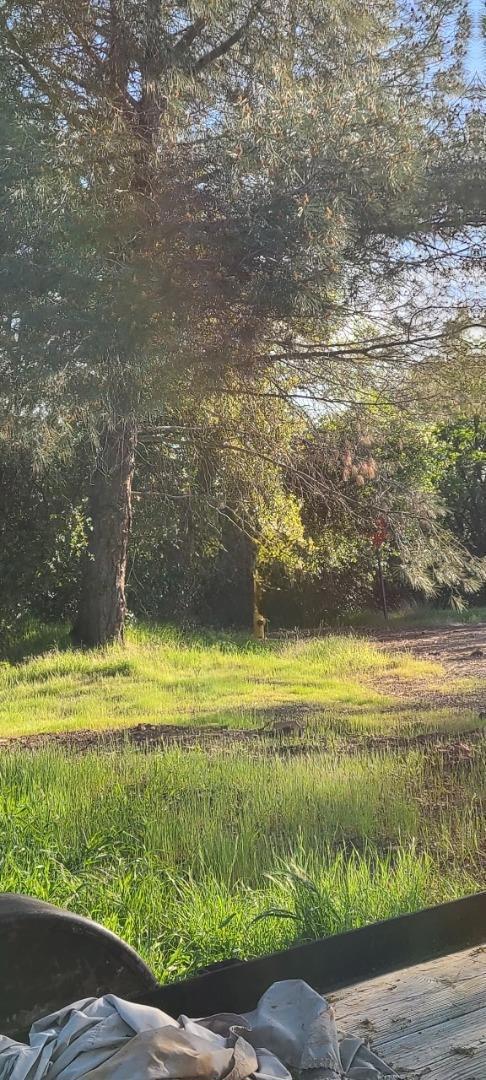 10470 Chicharra Court Property Photo 1