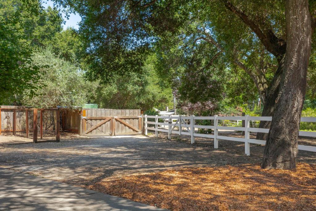 595 Wente Street Property Photo 65