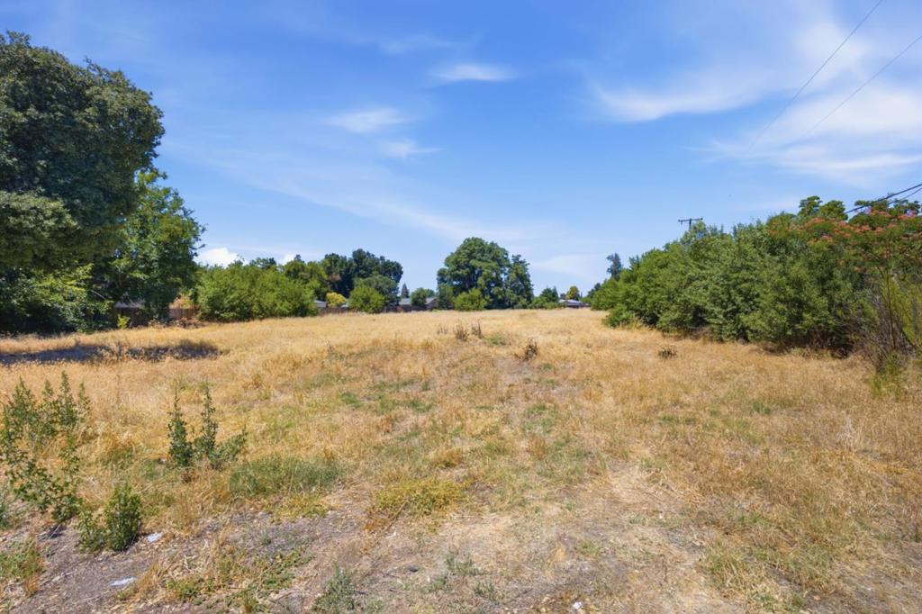 2906 Oleander Avenue Property Photo 14