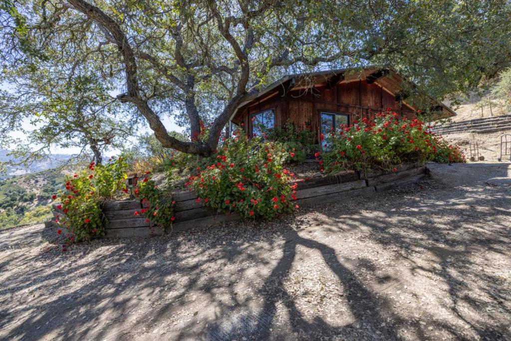 37840 Poppy Tree Lane Property Photo 1