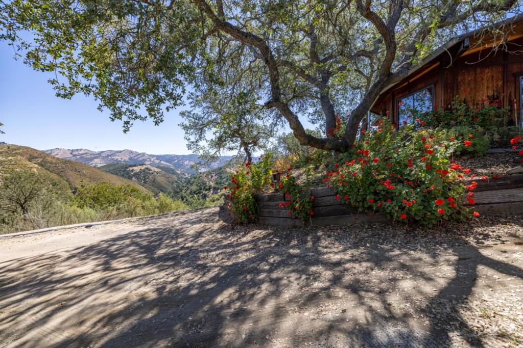 37840 Poppy Tree Lane Property Photo 2