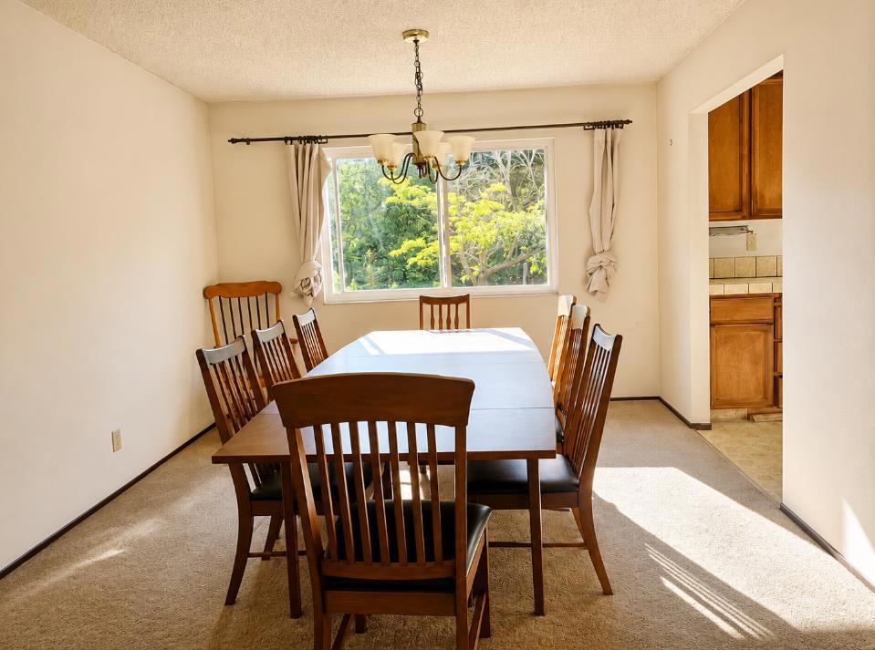1527 Pleasant Hill Road Property Photo 6