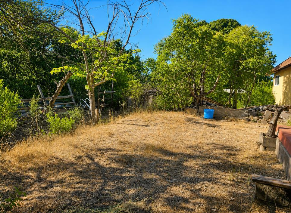 1527 Pleasant Hill Road Property Photo 22