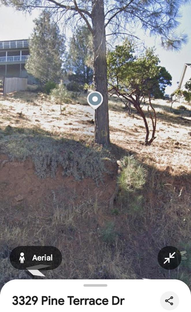 3329 Pine Terrace Drive Property Photo 3