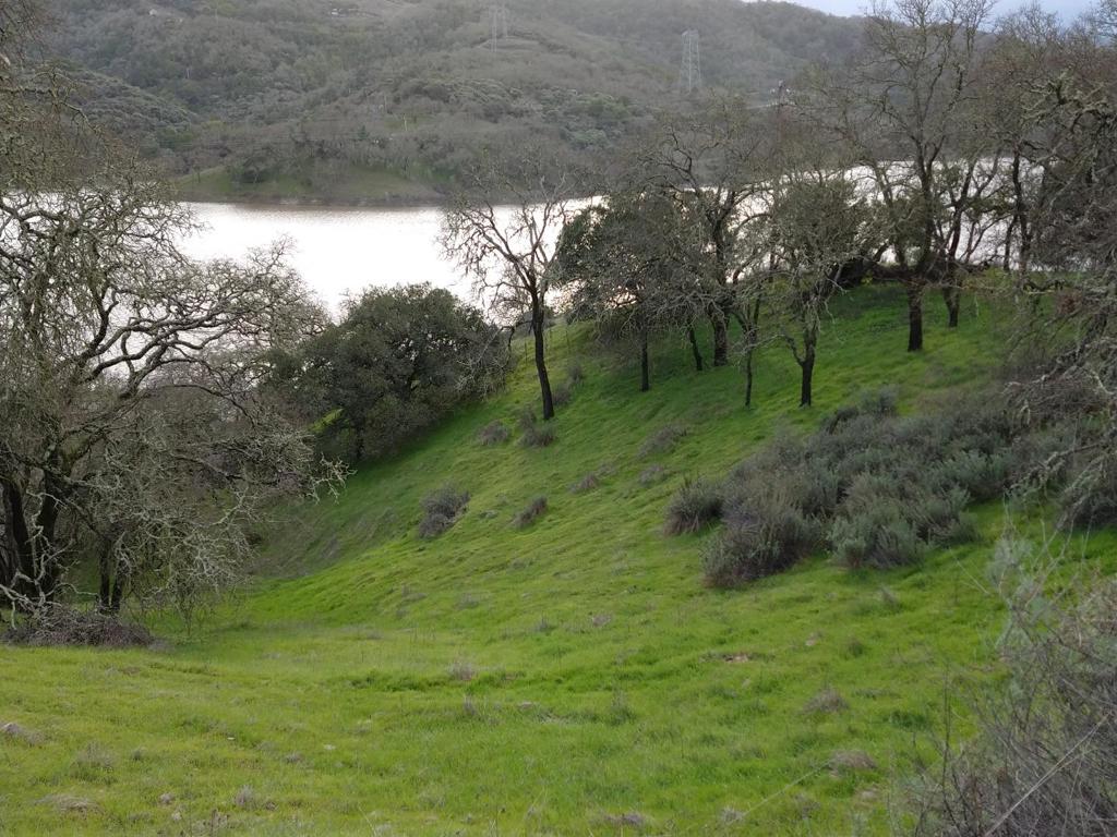 17880 Oak Glen Avenue Property Photo 4