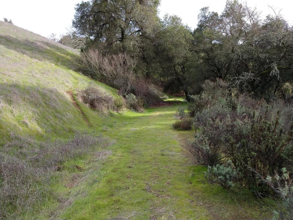 17880 Oak Glen Avenue Property Photo 6