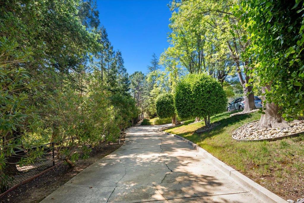 20695 Rice Court Property Photo 13