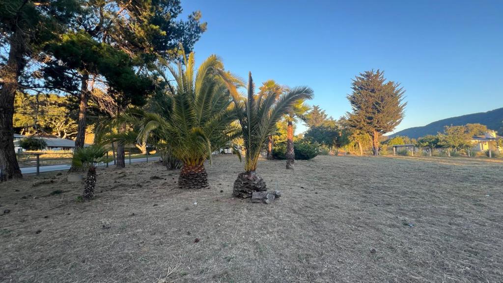 ML82052426 Property Photo 8