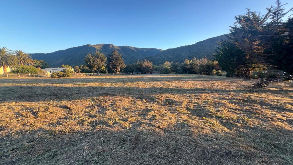 ML82052426 Property Photo 9