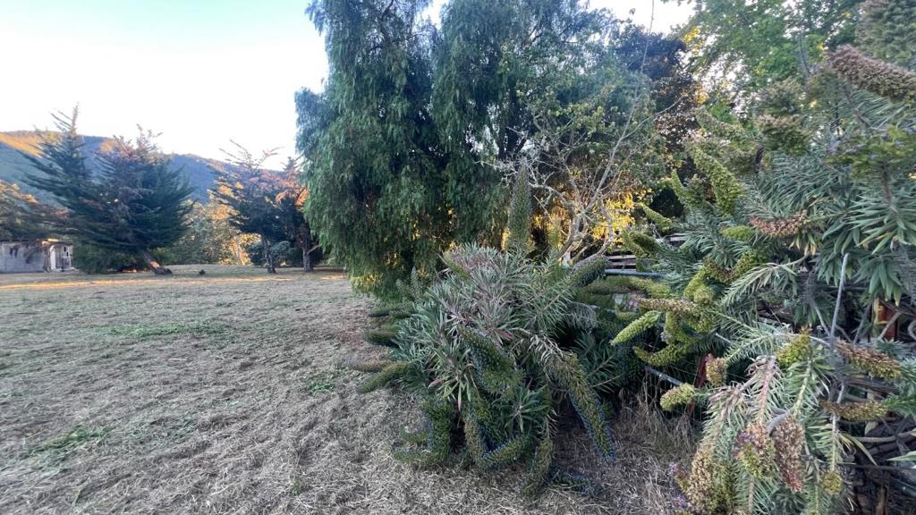 ML82052426 Property Photo 11