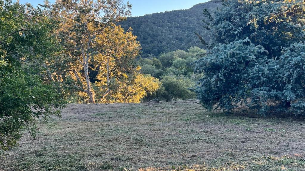 ML82052426 Property Photo 16