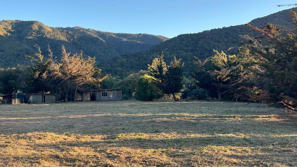 ML82052426 Property Photo 17