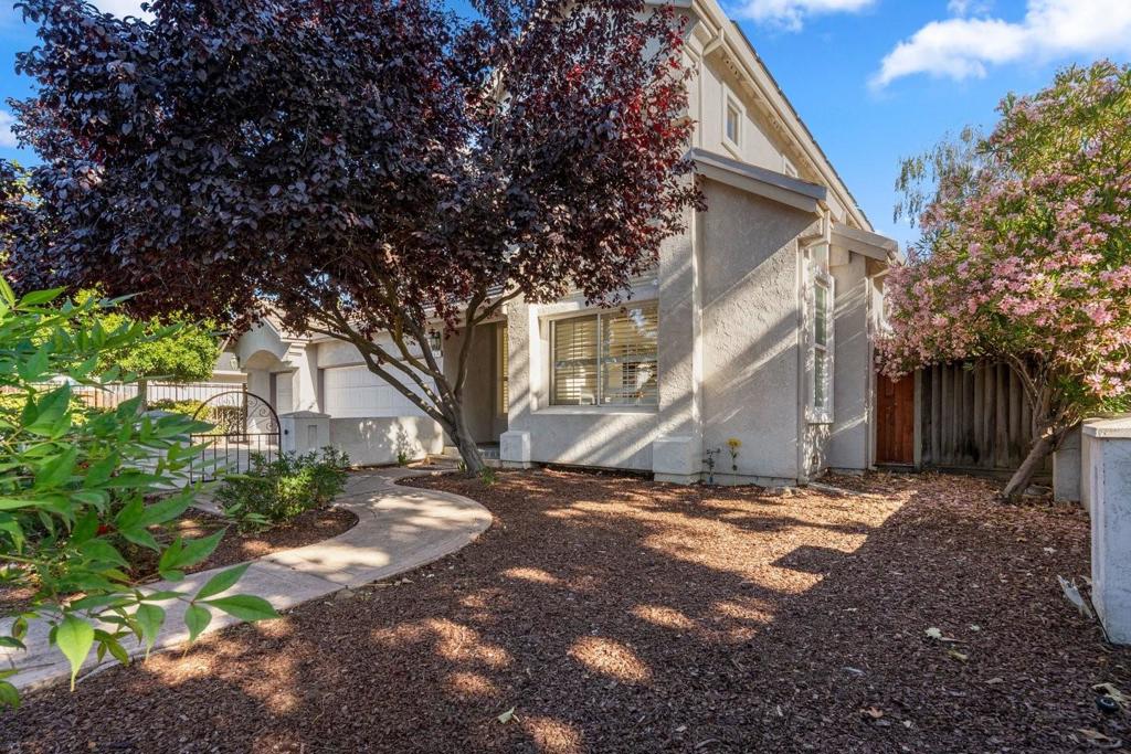 674 W Sunnyoaks Avenue Property Photo 11