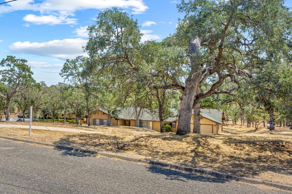 30159 Horseshoe Drive Property Photo 2