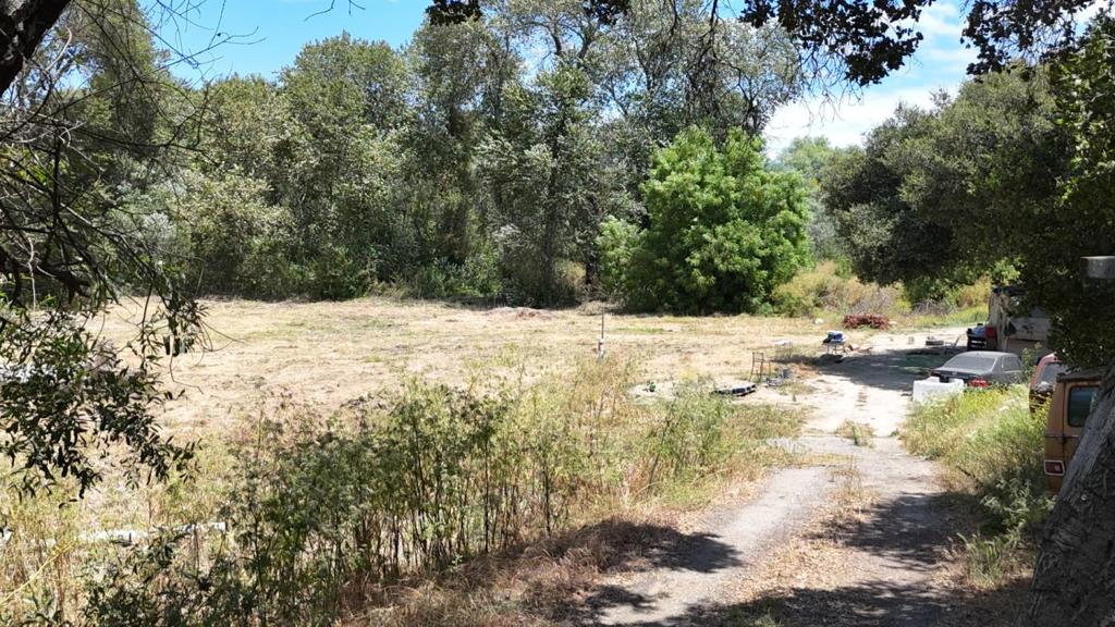 ML82052432 Property Photo 5