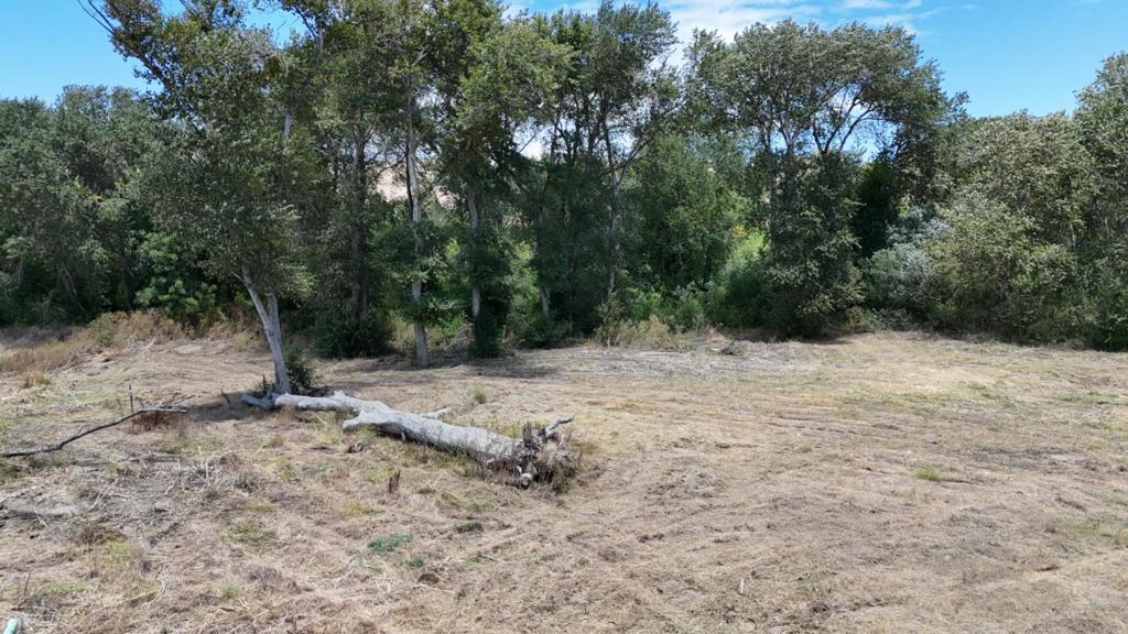 ML82052432 Property Photo 8