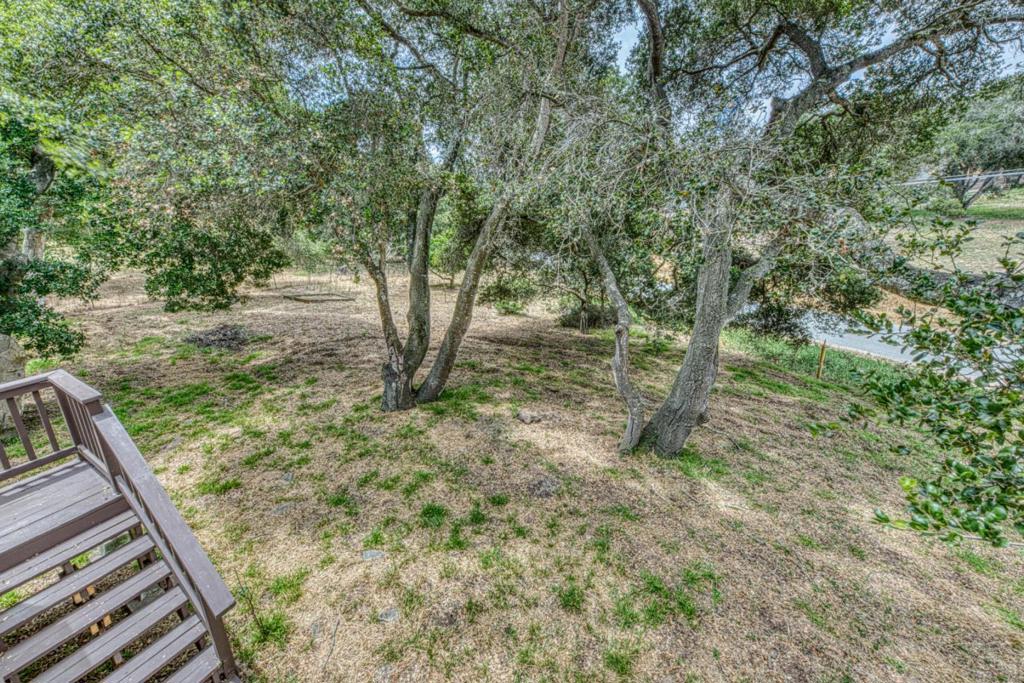 17742 Berta Canyon Road Property Photo 13