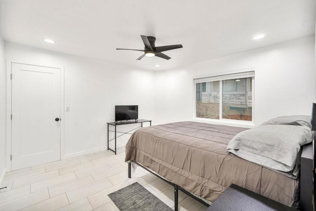 20 Mary Street Property Photo 16