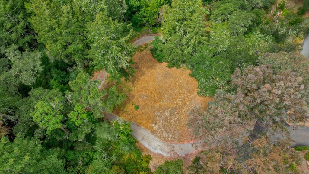 27 Willis Road Property Photo 6