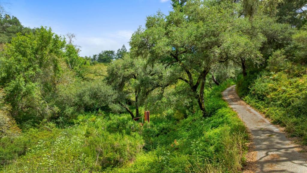 27 Willis Road Property Photo 16