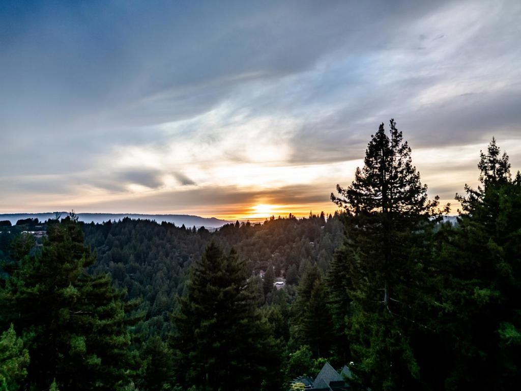 23965 Mountain Charlie Road Property Photo 63