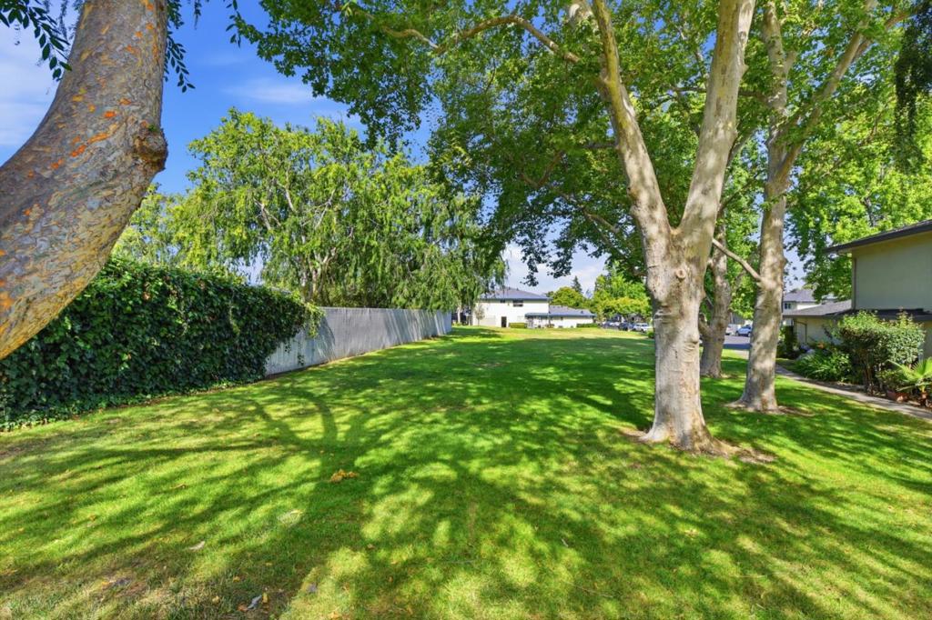 207 Watson Drive 3 Property Photo 31