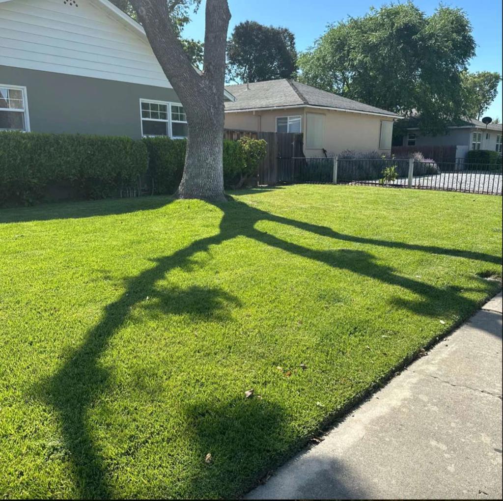 964 Princess Anne Drive Property Photo 2