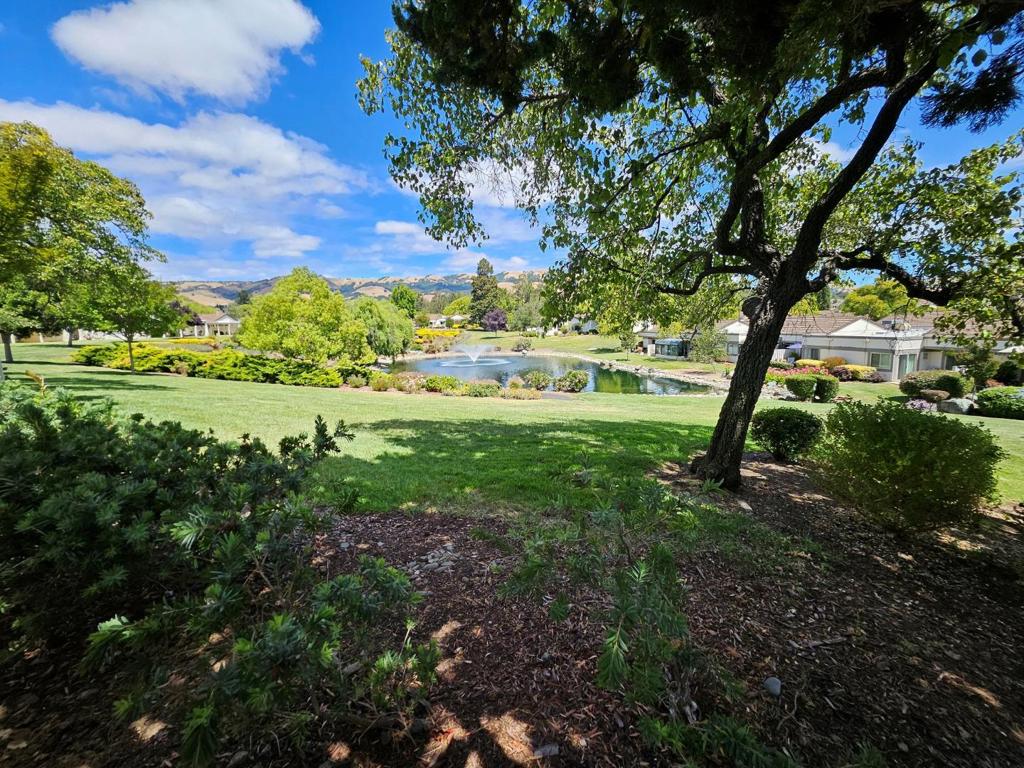 6327 Whaley Drive Property Photo 33