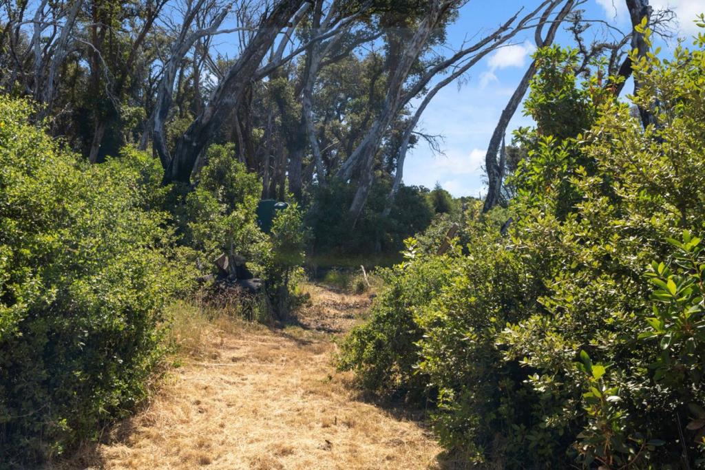 10520 Empire Grade Property Photo 8