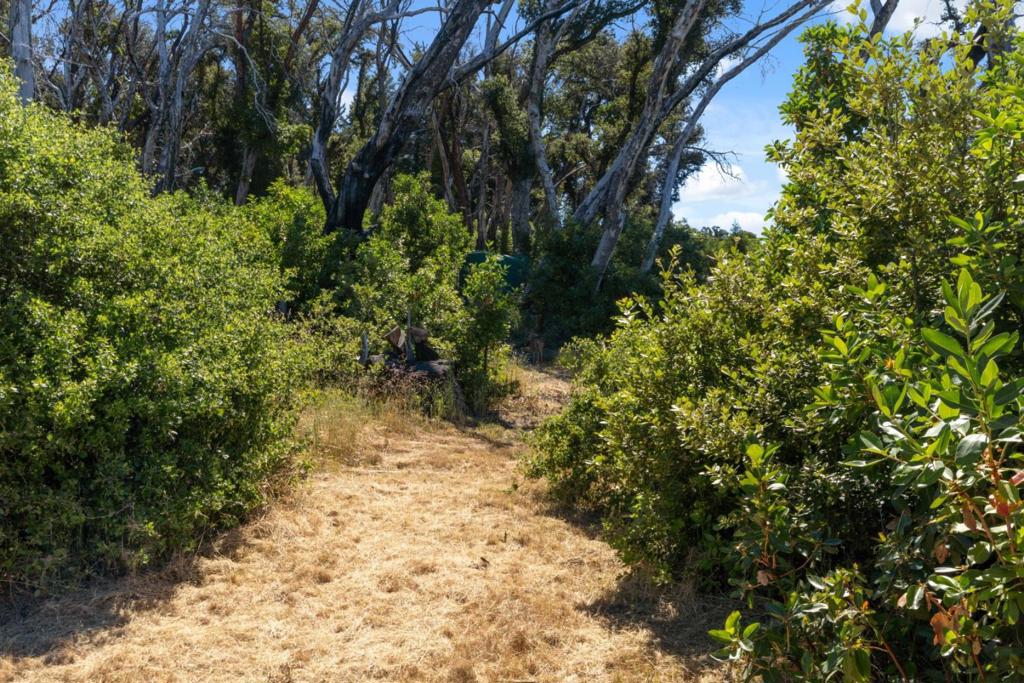 10520 Empire Grade Property Photo 9