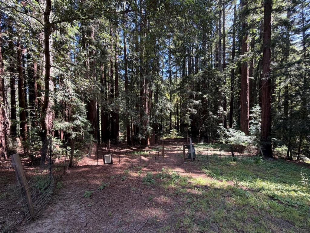17388 Tressel Pass Road Property Photo 35