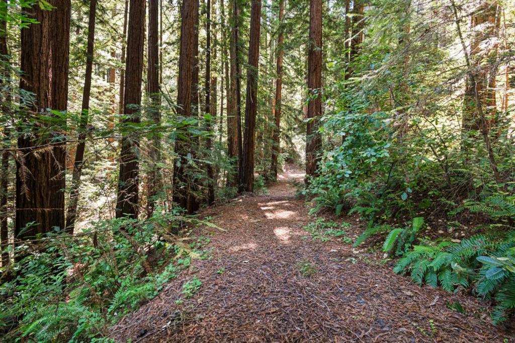 17388 Tressel Pass Road Property Photo 38