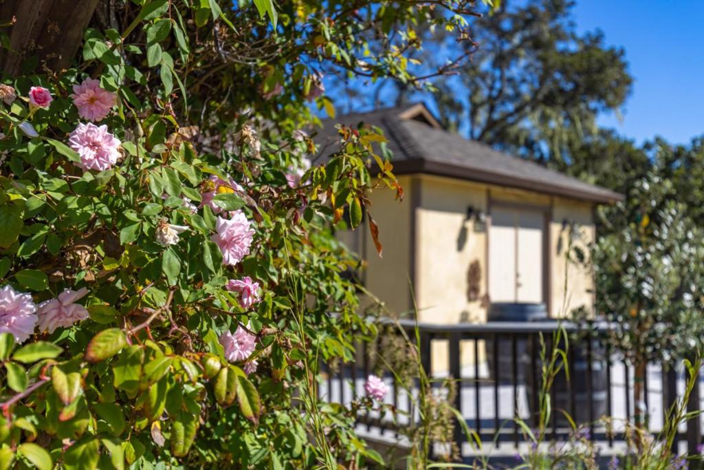 13101 Corte De Encanto Property Photo 41