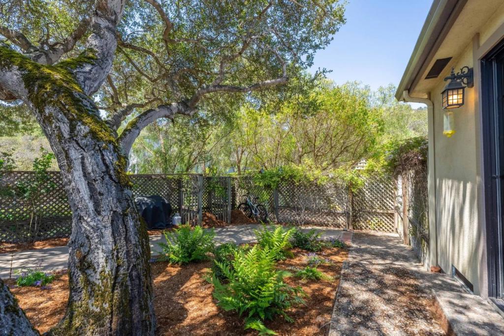 13101 Corte De Encanto Property Photo 45